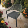 Silla de jardín de mimbre de ratán profesional